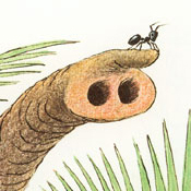 The Ant and the Elephant